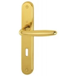 HOPPE Ensemble Sur Plaque 234 X 38 Mm En Laiton Poli - Pour Porte épaisseur 40 à 45 Mm - ROISSY Clé I