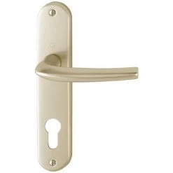 HOPPE ENS GM SAN DIEGO 1191265 CLE I F2 - Champagne