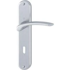 HOPPE Béquille Double Sur Plaque Type Ibiza Aluminium Entraxe 195 Mm Fintion Chromé Satiné Clé I