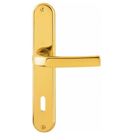 Plaque Poignée Porte Cervina M191/322 MS F71 OB 72mm DIN Gauche/Droite HOPPE 3 Plaque Poignée Porte Cervina M191/322 MS F71 OB 72mm DIN Gauche/Droite HOPPE