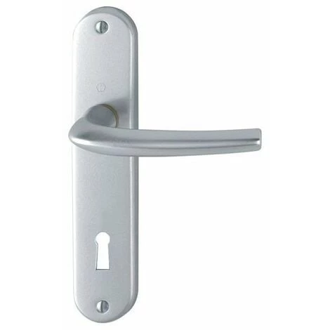 HOPPE Poignee Sur Plaque Diego 1191-347 Champagne Bec Cane Condamnation 3 HOPPE Poignee Sur Plaque Diego 1191-347 Champagne Bec Cane Condamnation