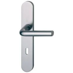 Ensemble Sur Plaque Fondue Arles 197L/300M HOPPE Argent F1 - WC - 596201