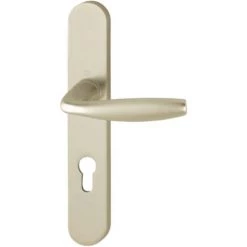 Ensemble De Porte Plaque Large New York Clé I Champagne F2 HOPPE - 1810/300M - 195mm - Entr.7/70 C.7 - 38/47 - 3281944